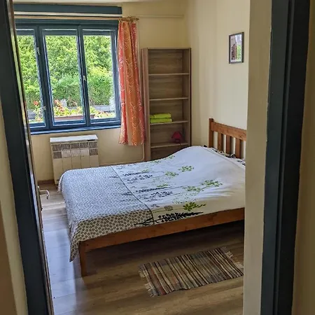 Tulipan Haz * Сильвашварад