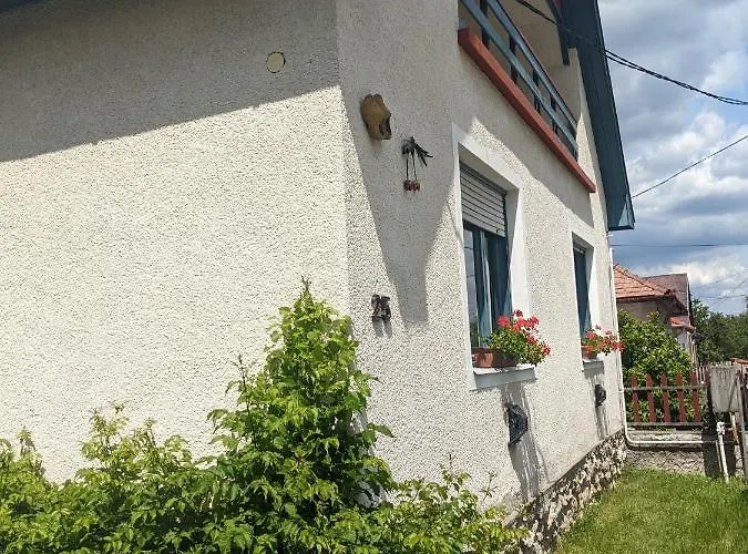 Tulipan Haz