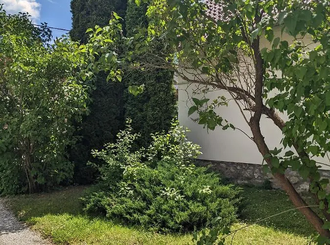 בית נופש Tulipan Haz *